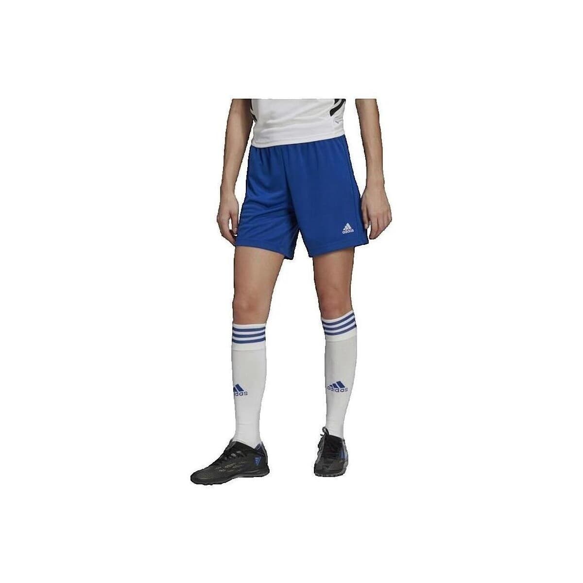 Women's Shorts adidas Blue