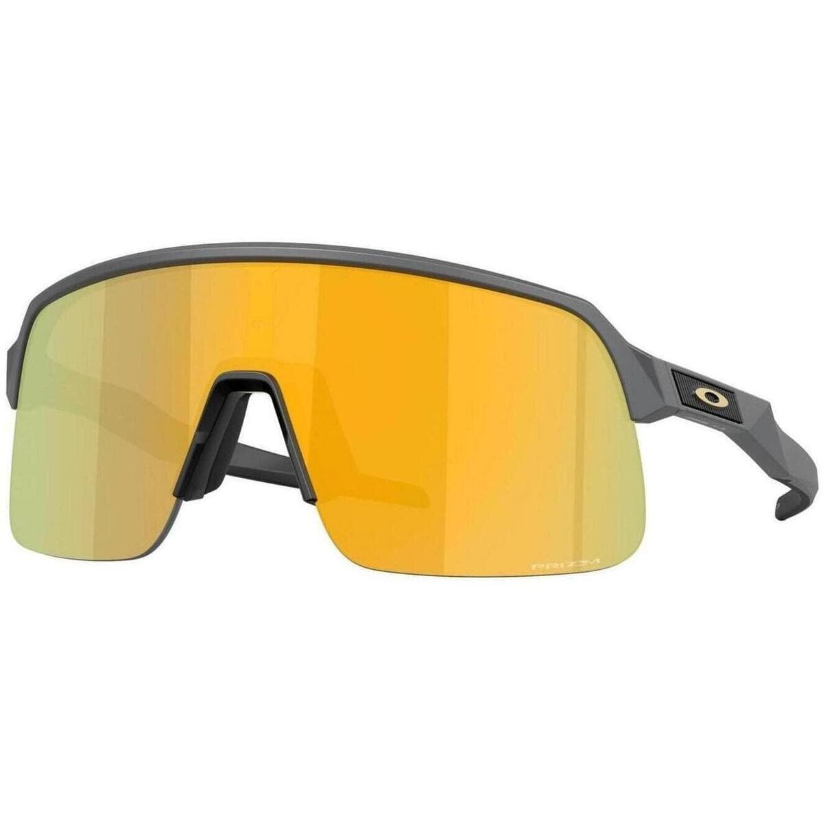 Men's Sunglasses Oakley Gray