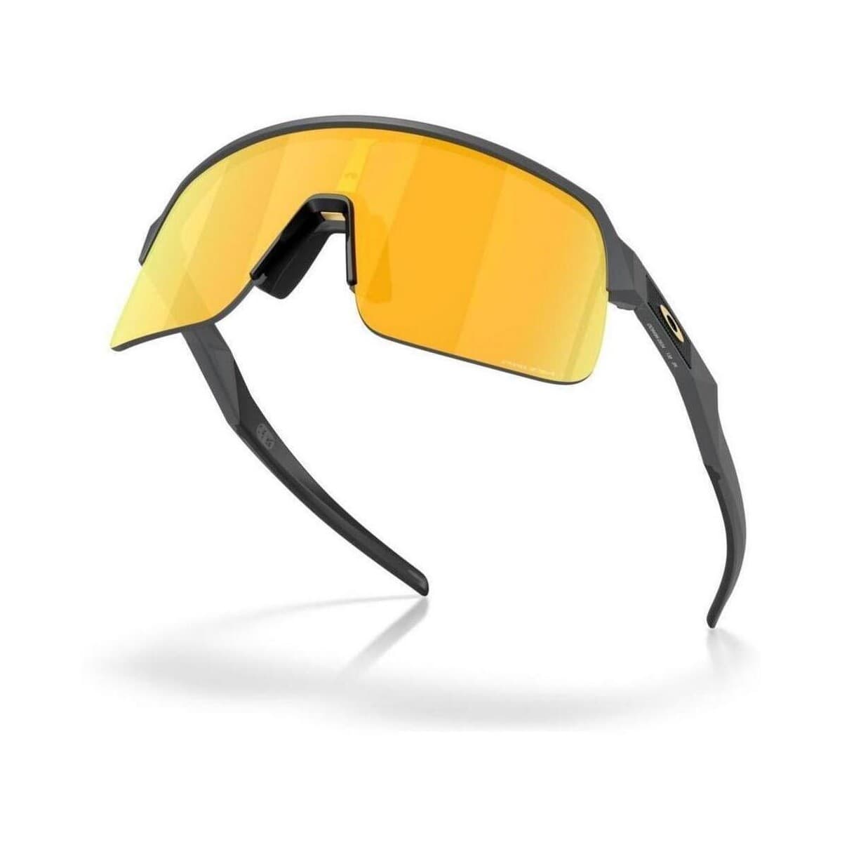 Men's Sunglasses Oakley Gray