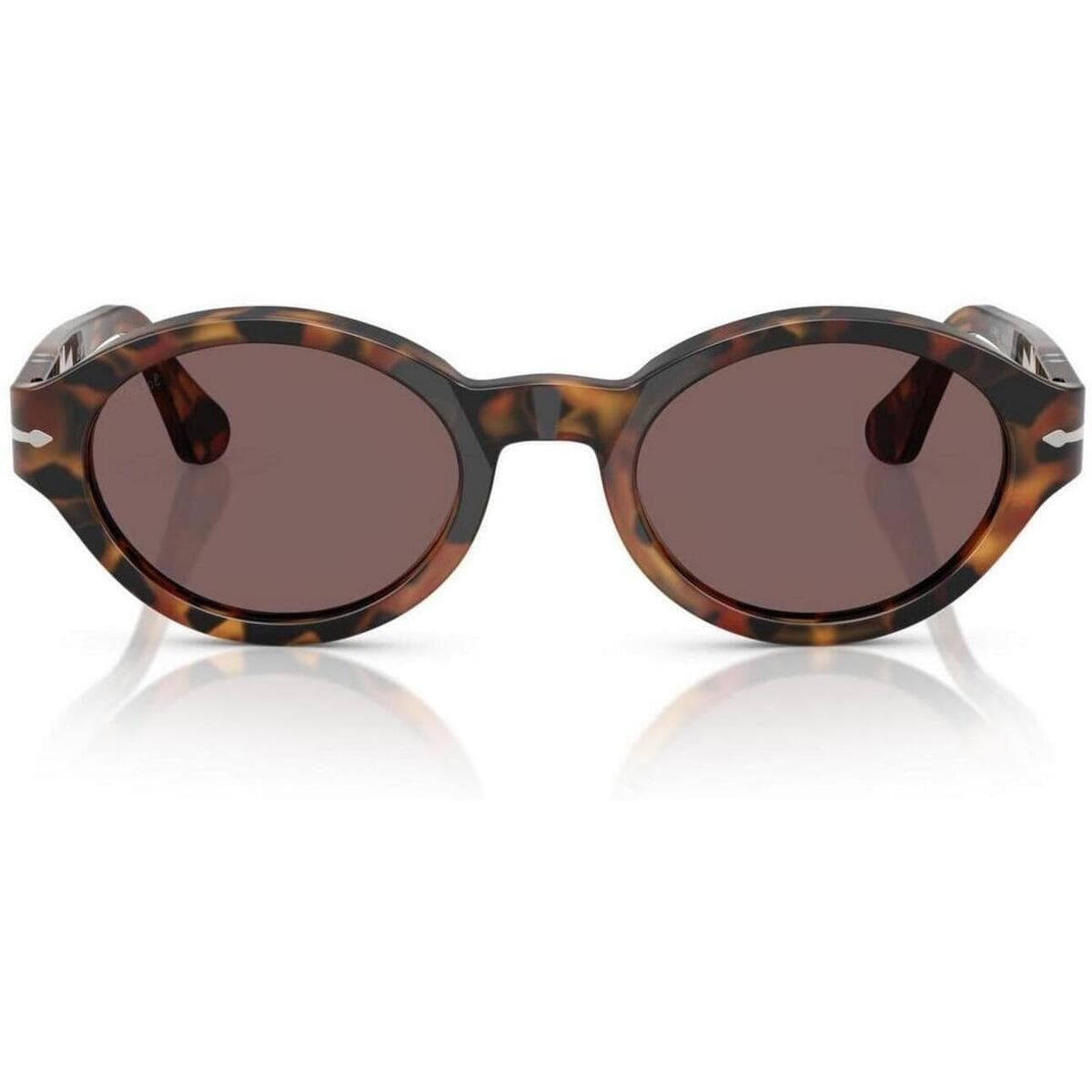 Women's Sunglasses Persol Brown