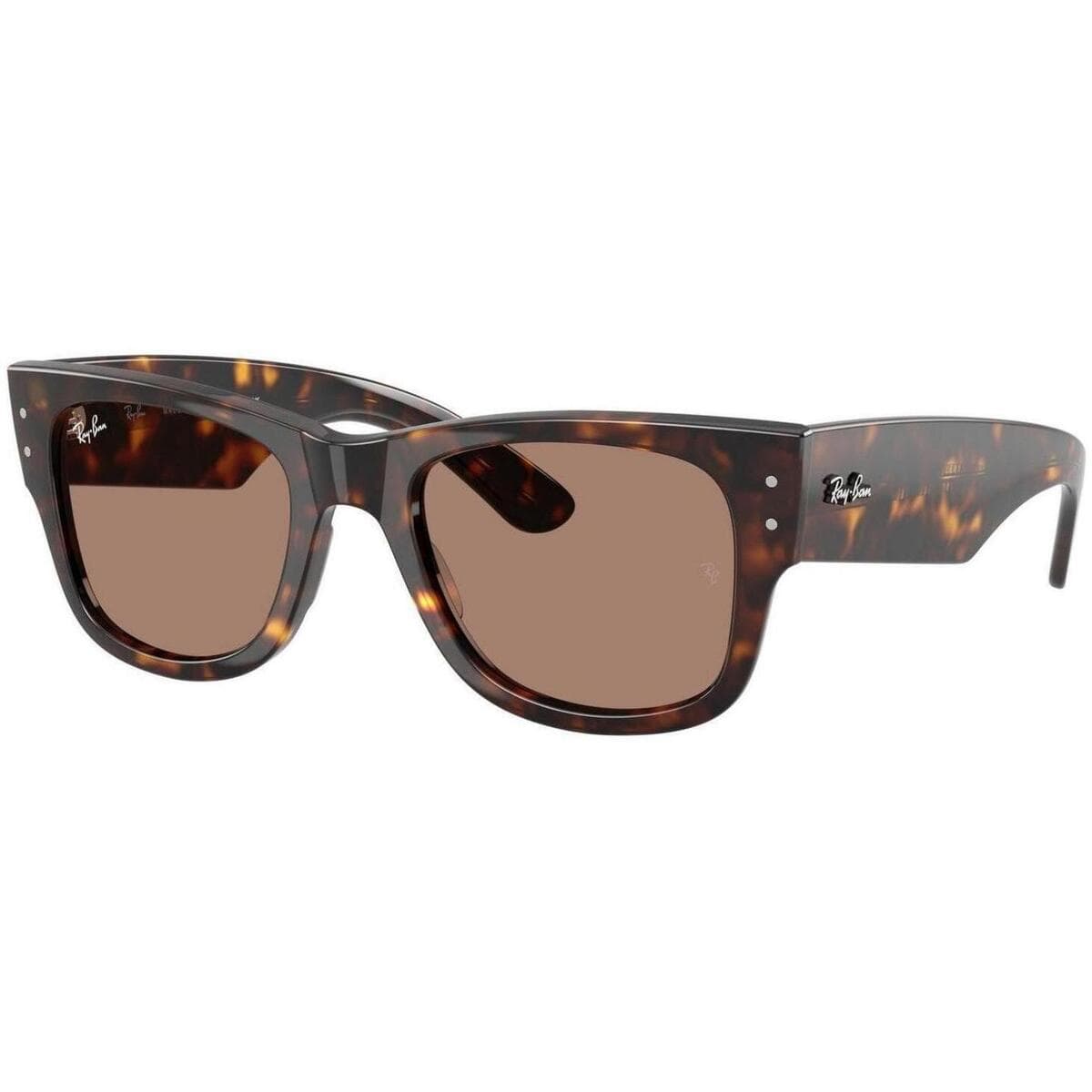 Men's Sunglasses Ray-ban Brown