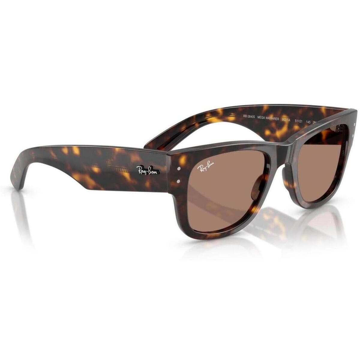 Men's Sunglasses Ray-ban Brown