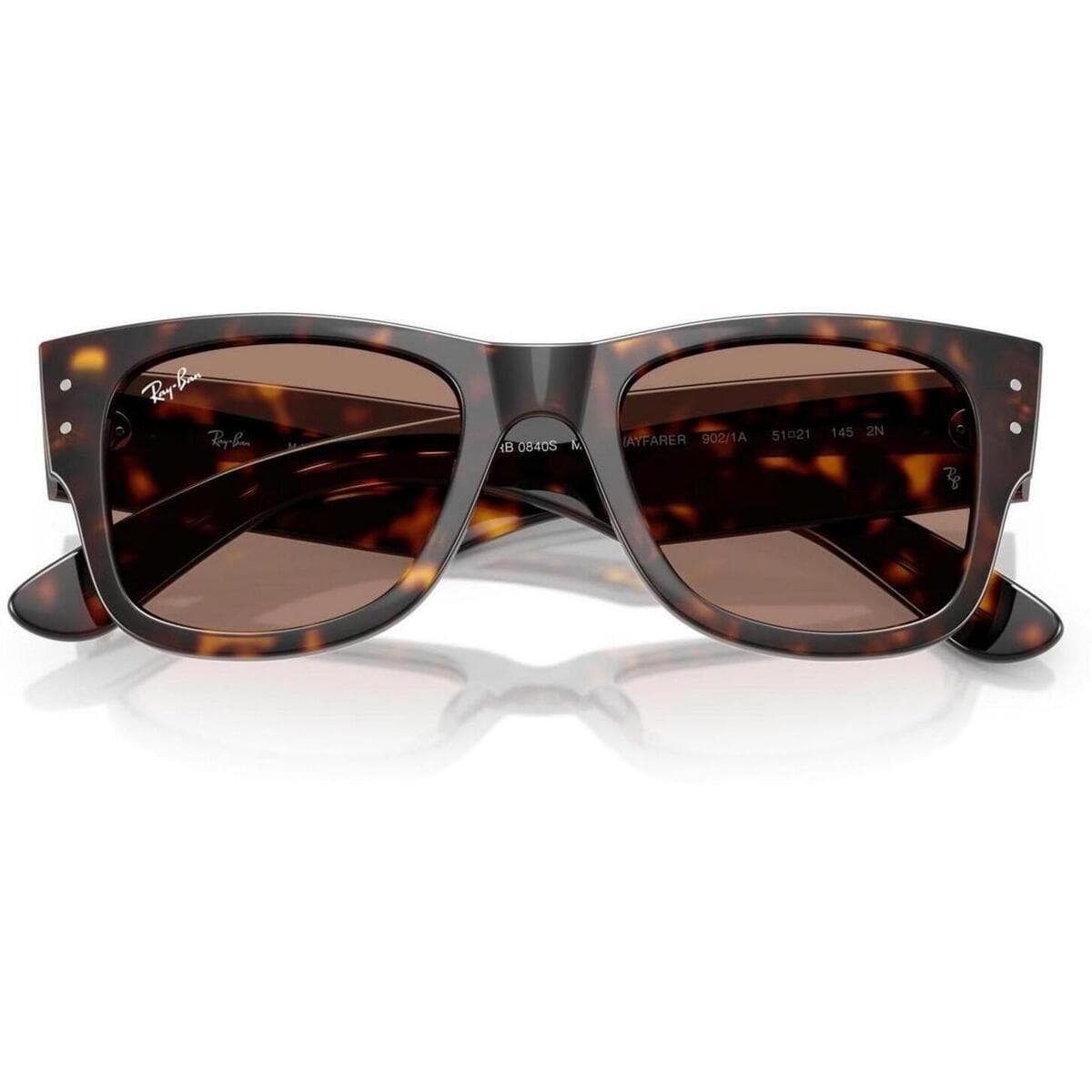 Men's Sunglasses Ray-ban Brown
