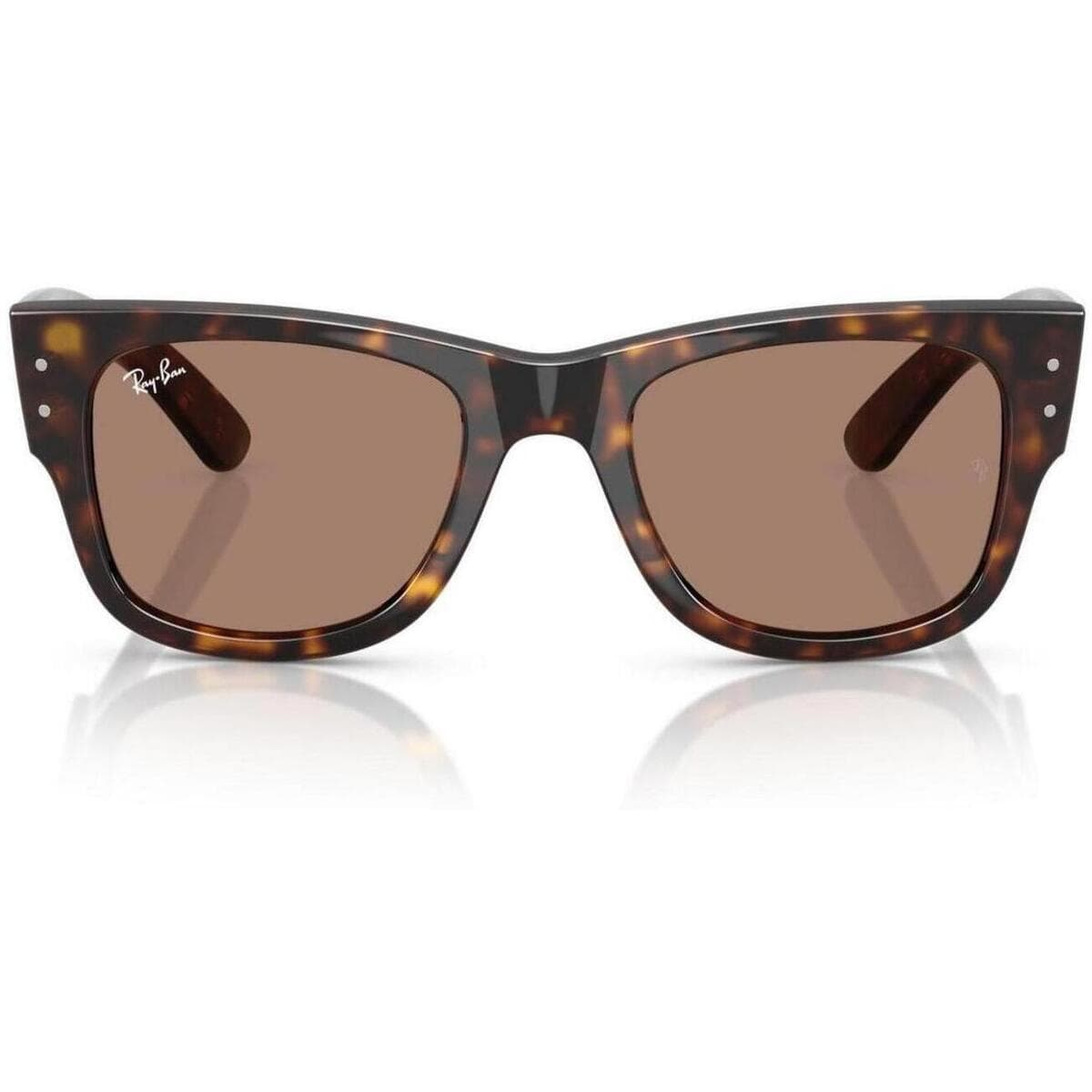 Men's Sunglasses Ray-ban Brown