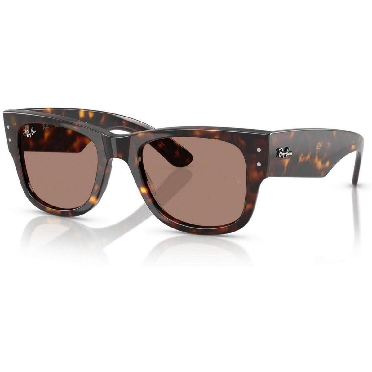 Men's Sunglasses Ray-ban Brown