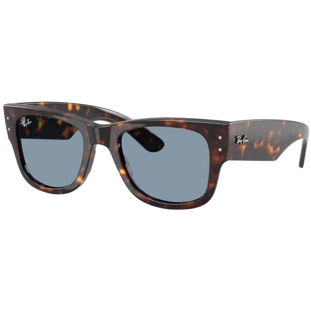 Men's Sunglasses Ray-ban Brown