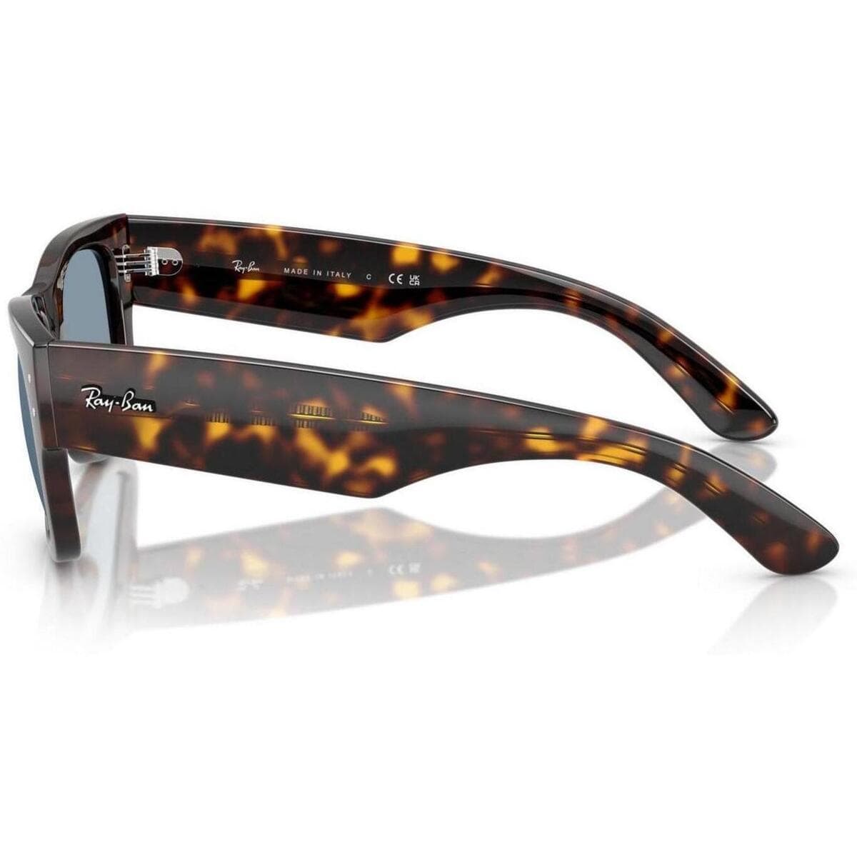 Men's Sunglasses Ray-ban Brown