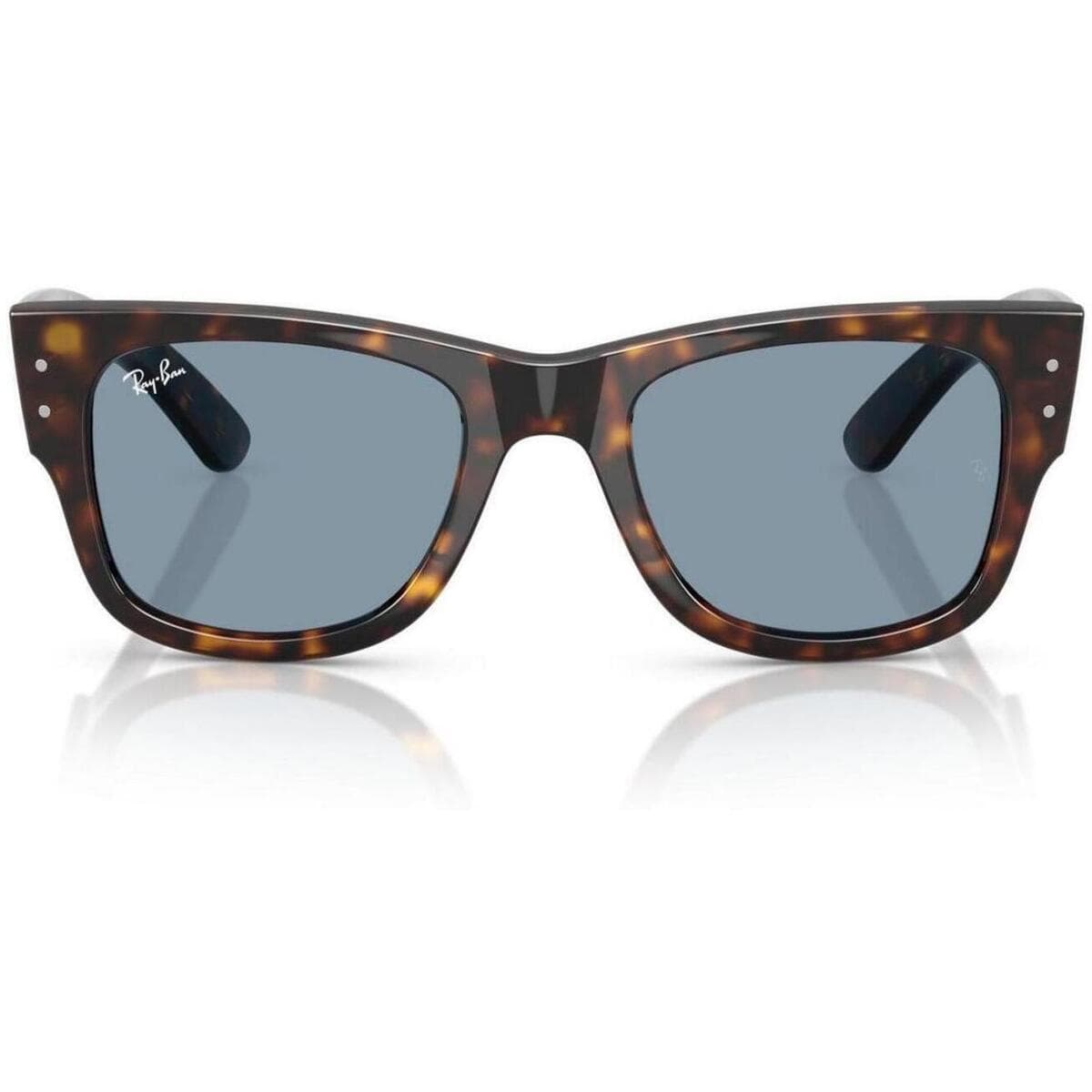 Men's Sunglasses Ray-ban Brown