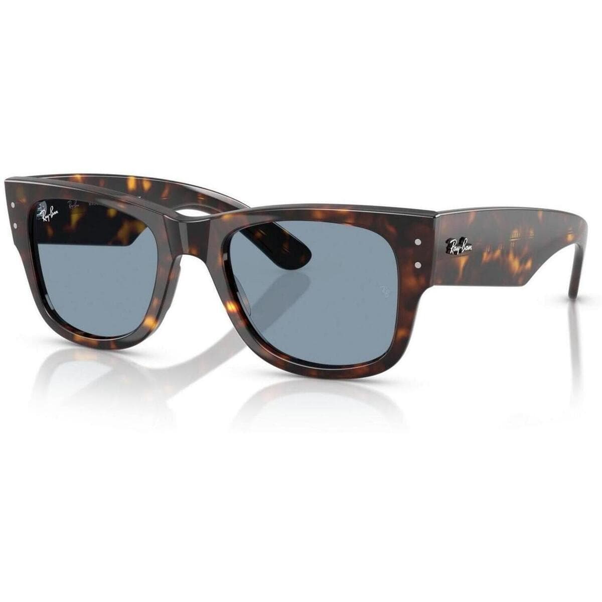 Men's Sunglasses Ray-ban Brown