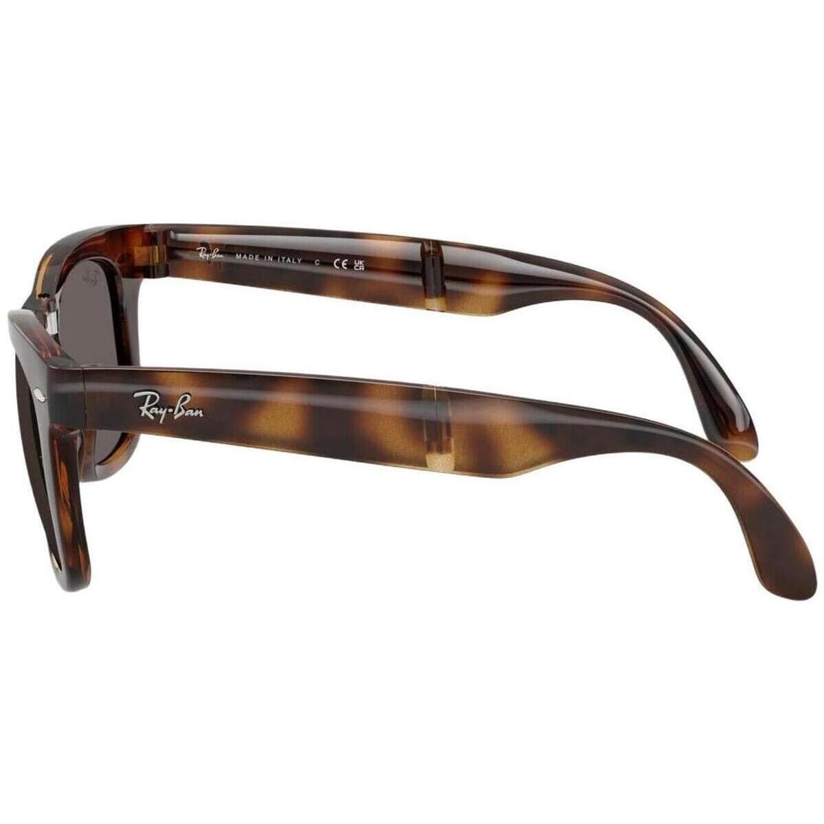 Men's Sunglasses Ray-ban Brown