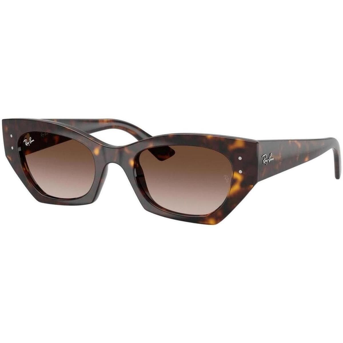 Men's Sunglasses Ray-ban Brown