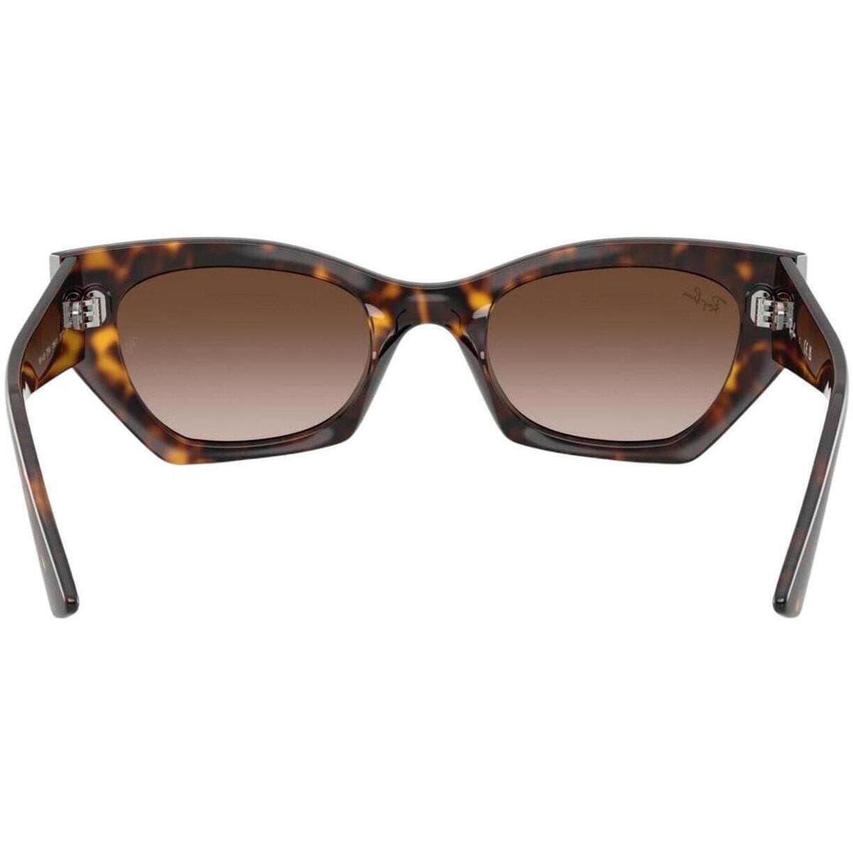 Men's Sunglasses Ray-ban Brown