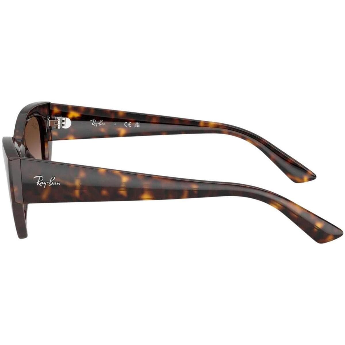 Men's Sunglasses Ray-ban Brown