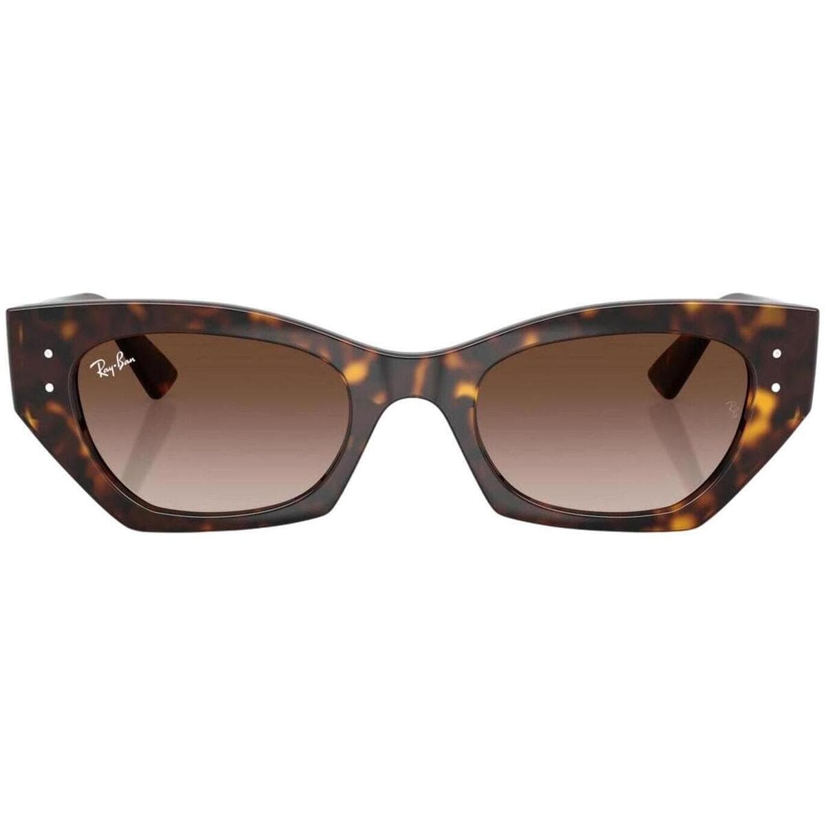 Men's Sunglasses Ray-ban Brown