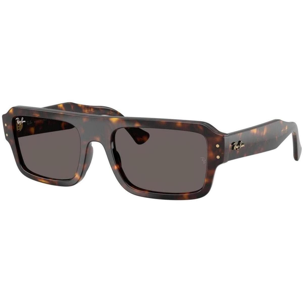 Men's Sunglasses Ray-ban Brown