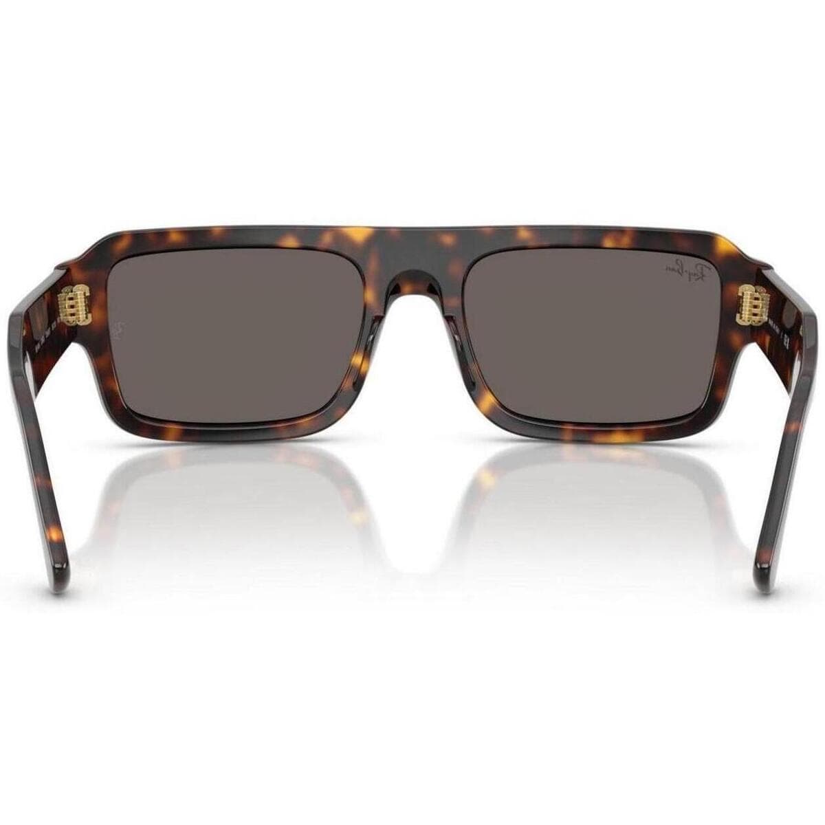 Men's Sunglasses Ray-ban Brown