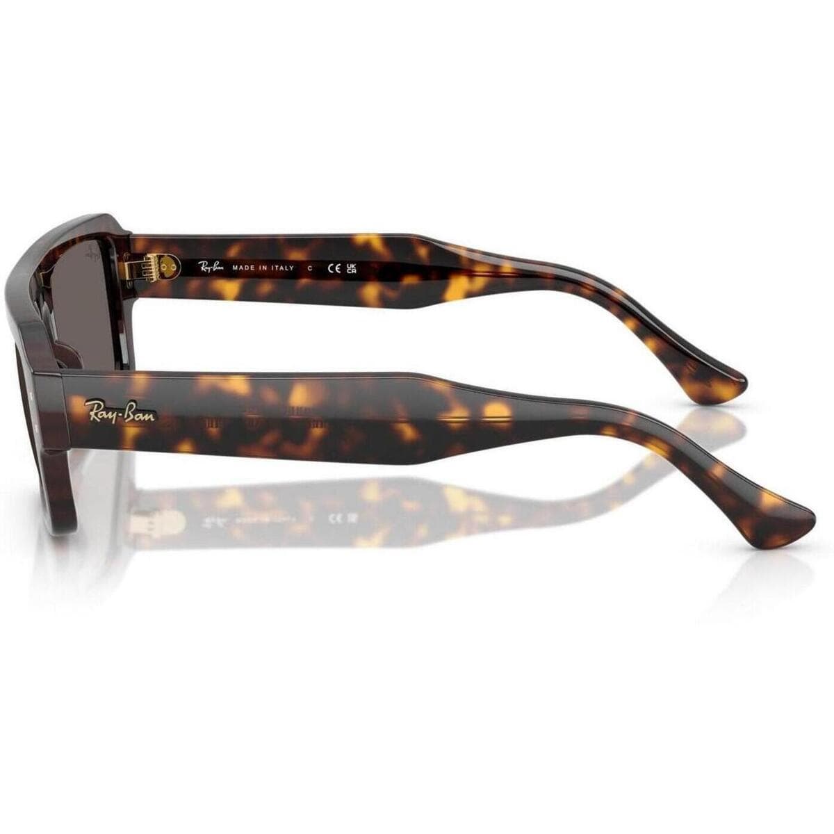 Men's Sunglasses Ray-ban Brown