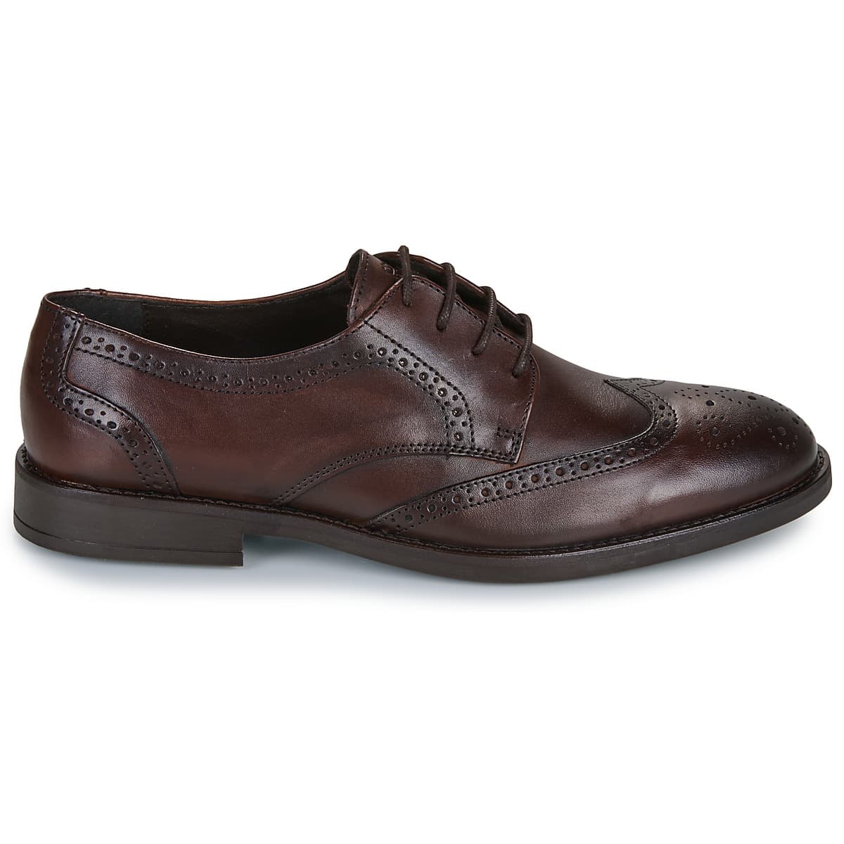 Men's Derby Shoes Carlington Brown