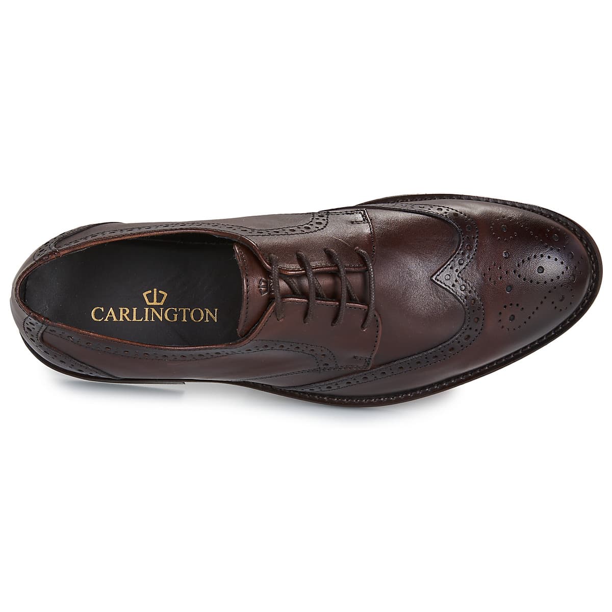 Men's Derby Shoes Carlington Brown