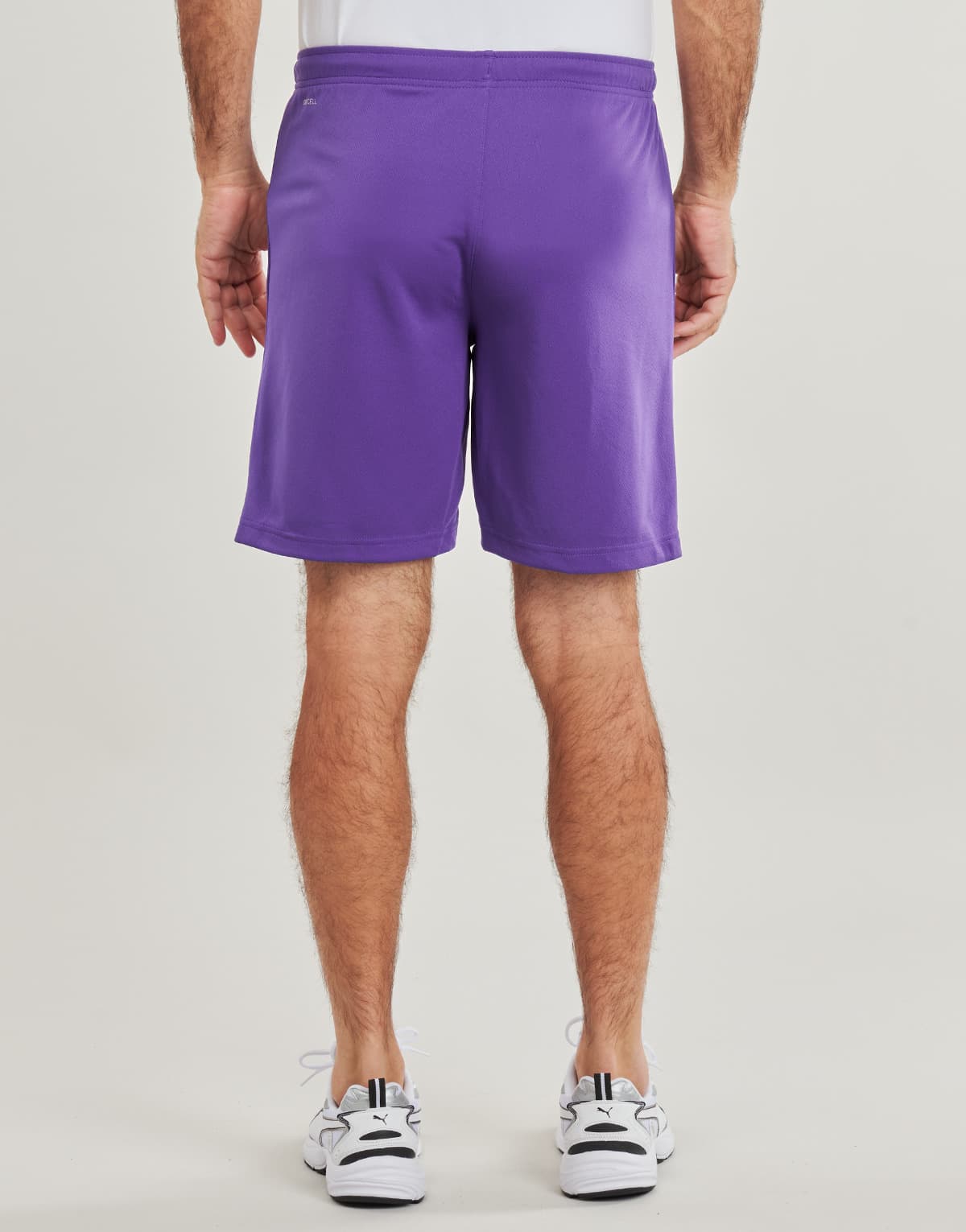 Men's Shorts Puma Purple