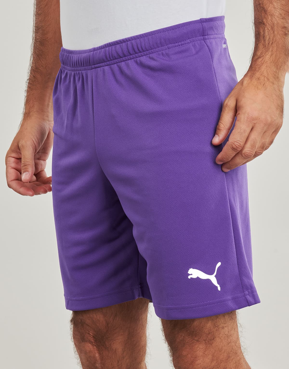 Men's Shorts Puma Purple