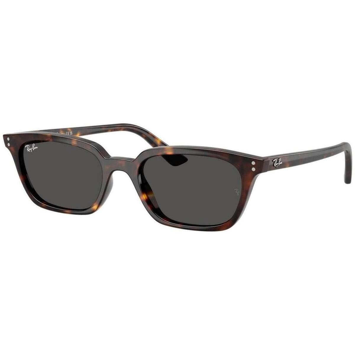 Men's Sunglasses Ray-ban Brown