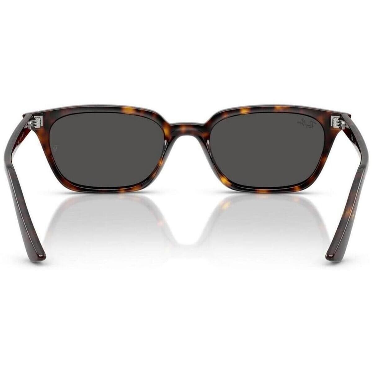 Men's Sunglasses Ray-ban Brown
