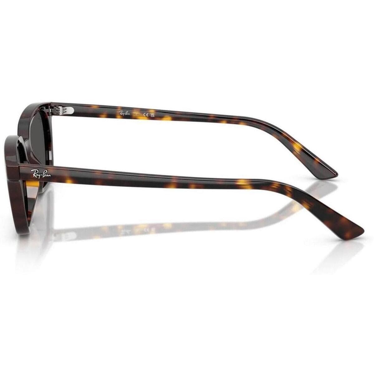 Men's Sunglasses Ray-ban Brown