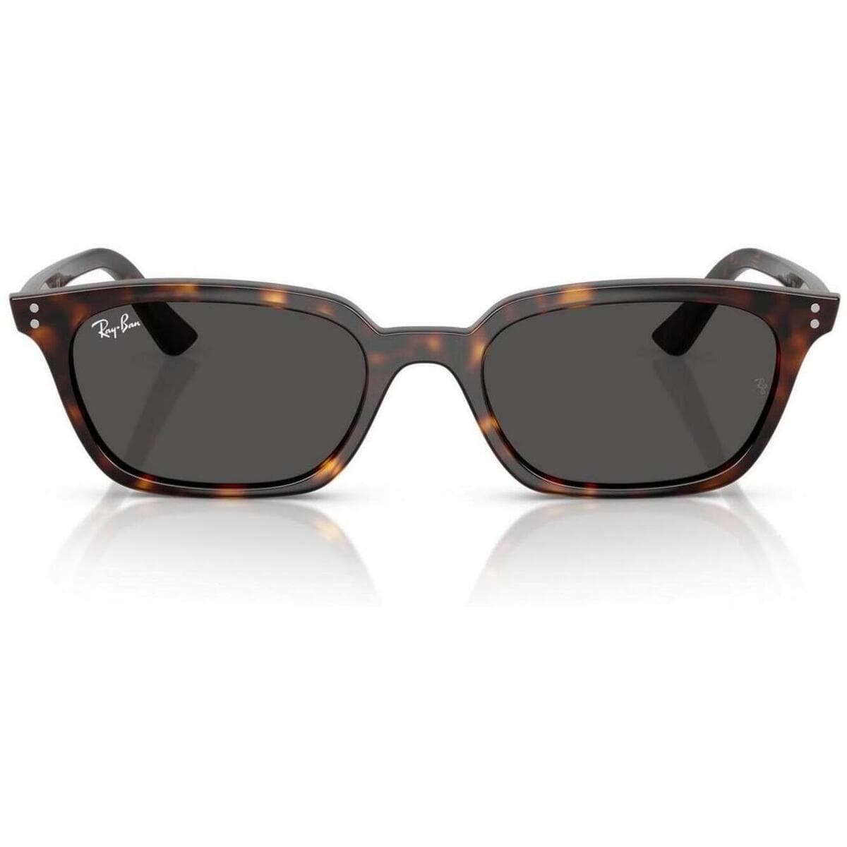 Men's Sunglasses Ray-ban Brown