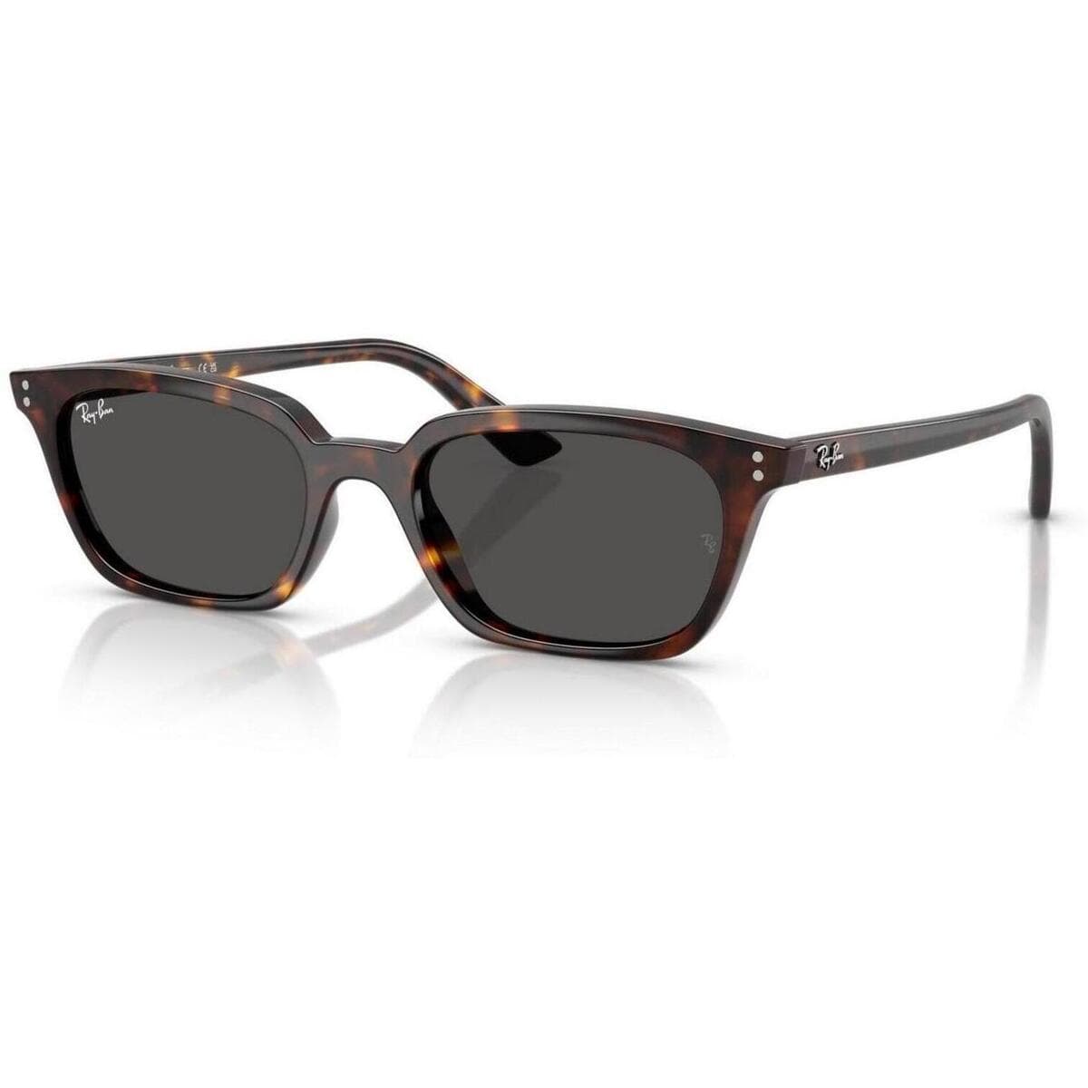 Men's Sunglasses Ray-ban Brown