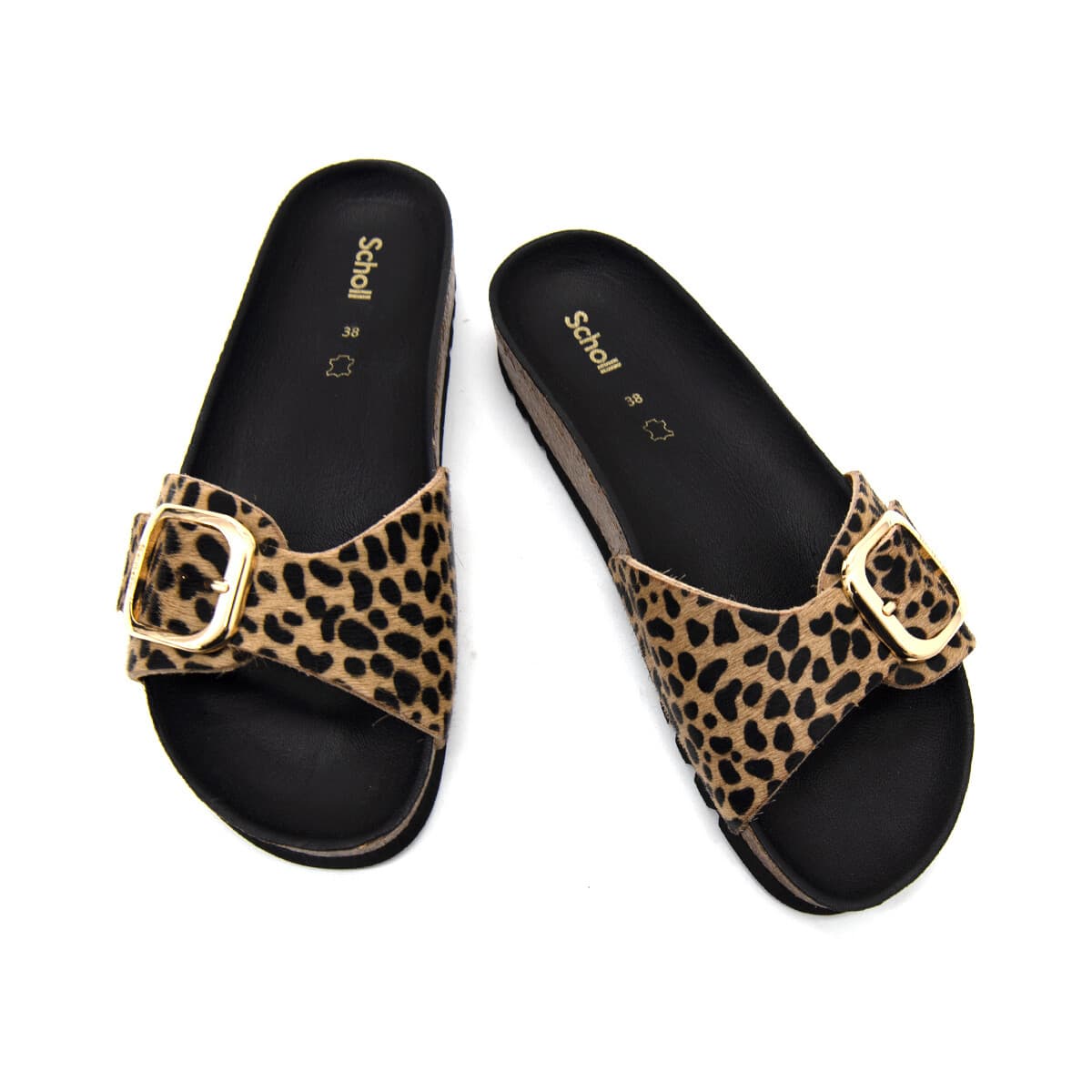 Women's Sandals Scholl Multicolor