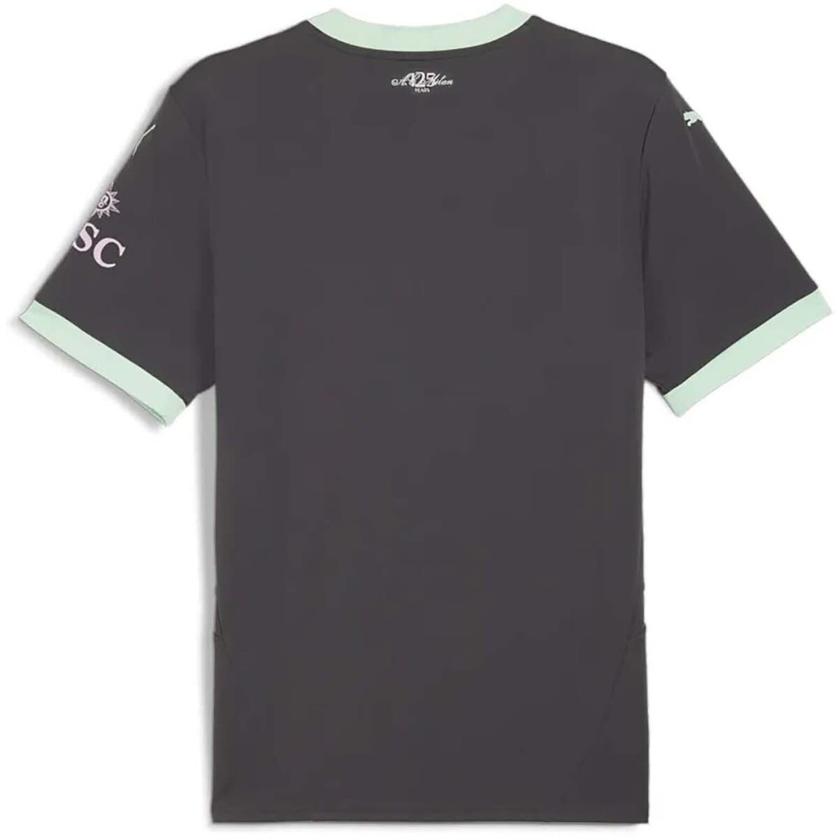 Men's T-Shirts Puma Gray