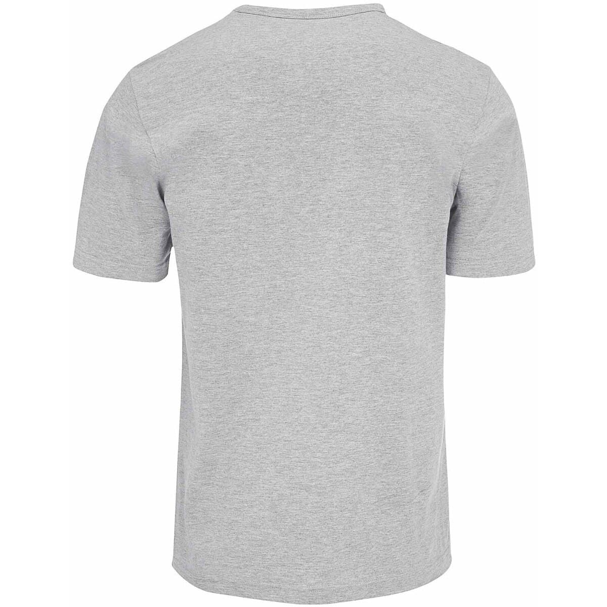 Men's Sports T-Shirts Errea Gray