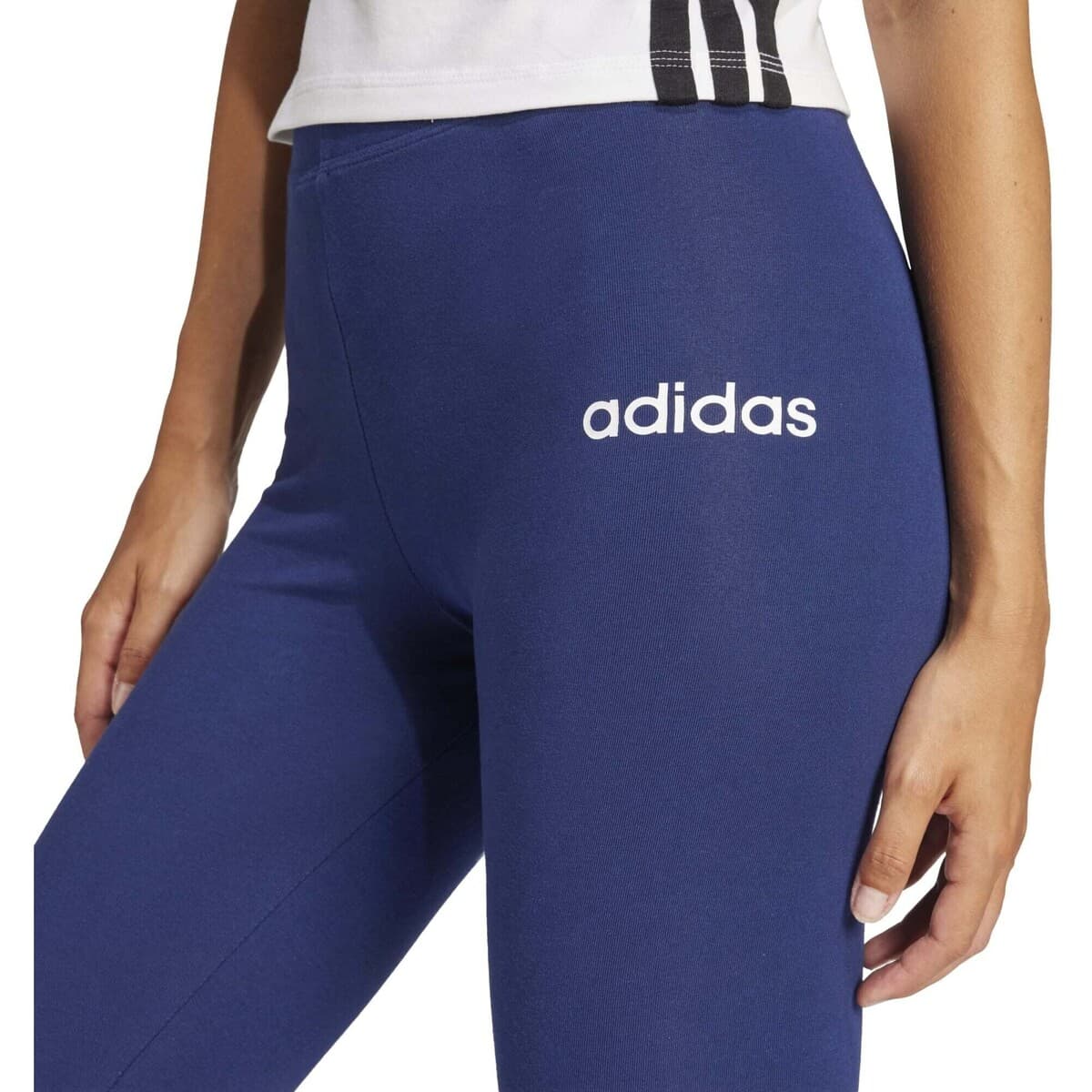 Women's Tights adidas Blue