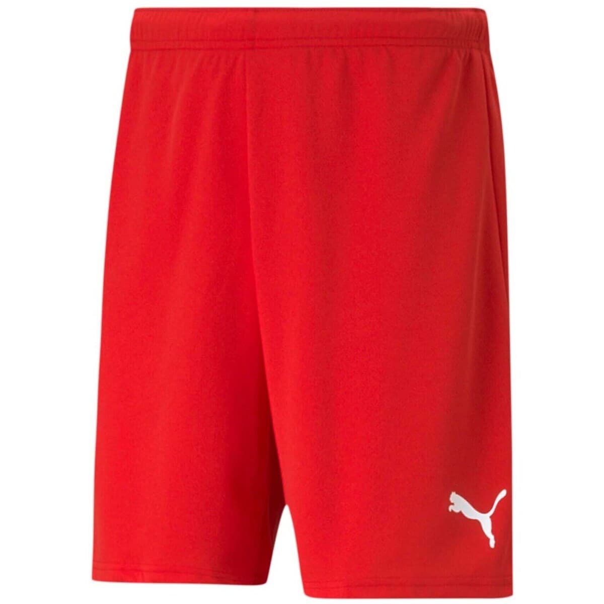 Men's Shorts Puma Blue