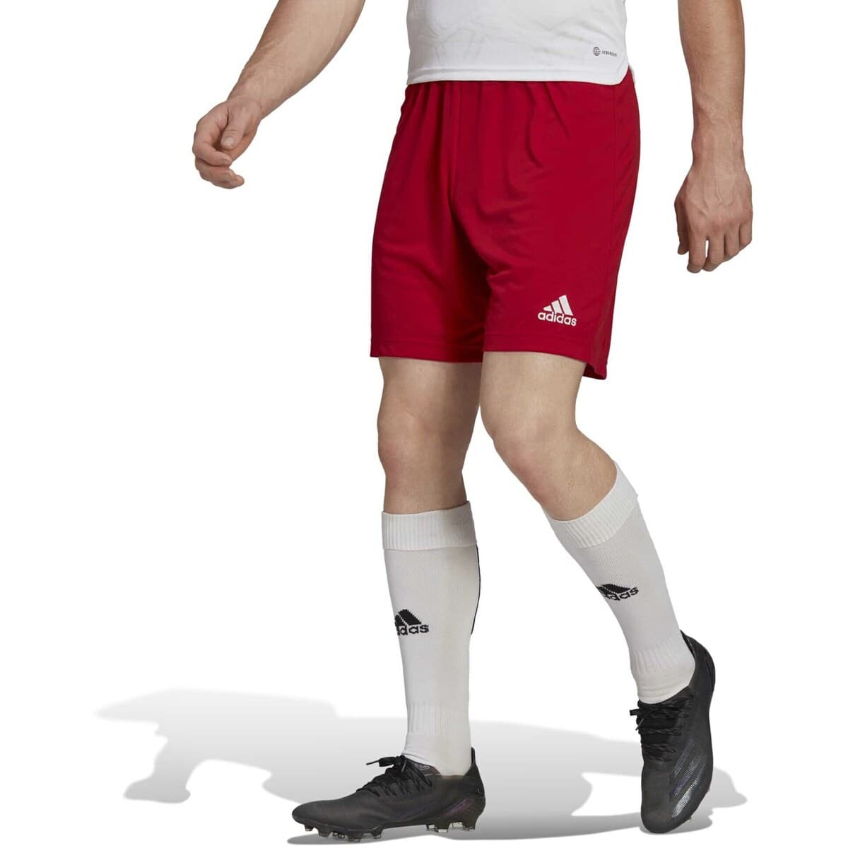 Men's Shorts adidas Red