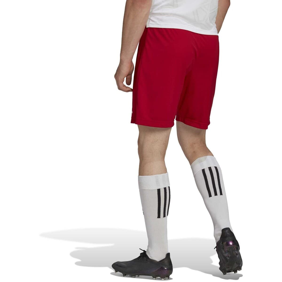 Men's Shorts adidas Red