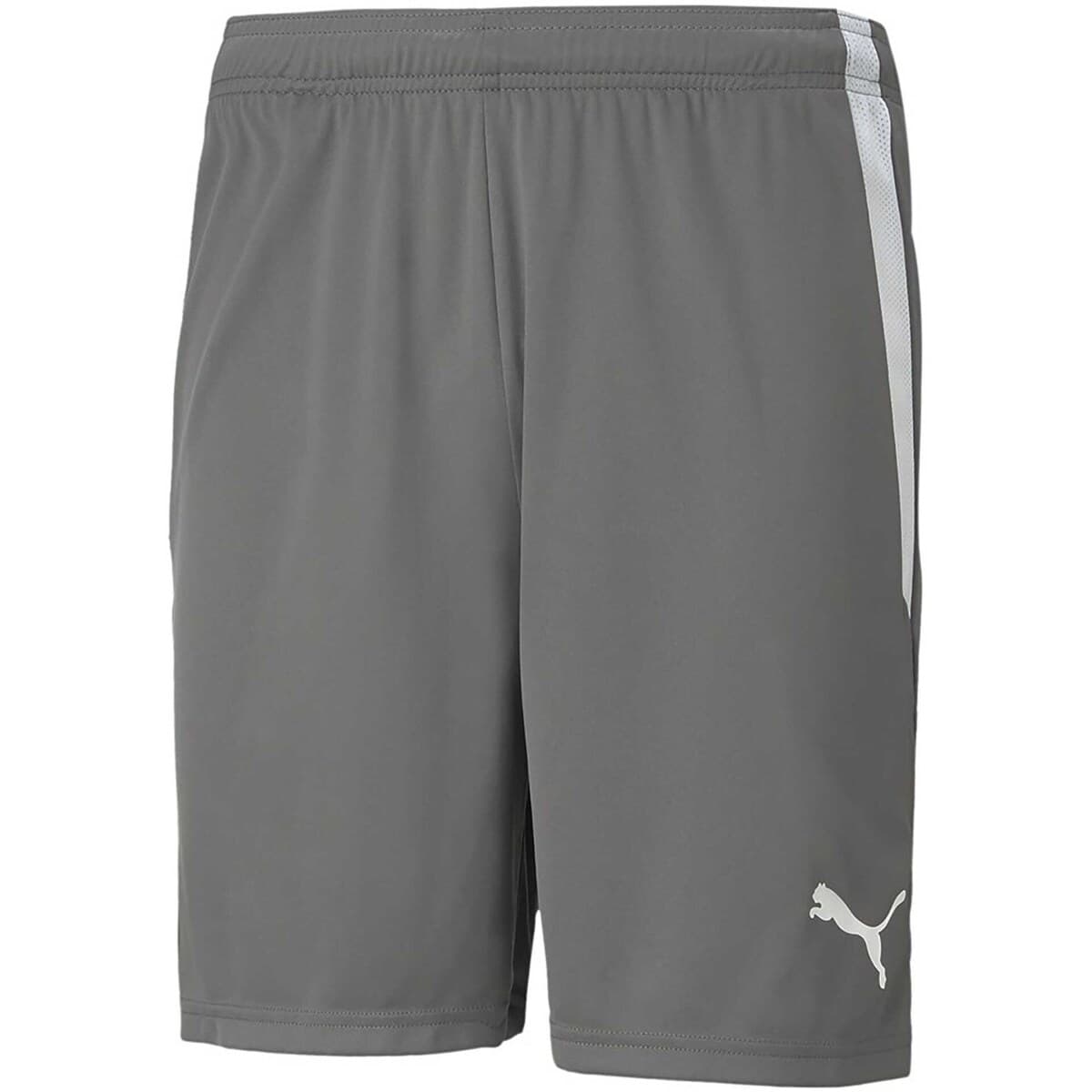 Men's Shorts Puma Gray
