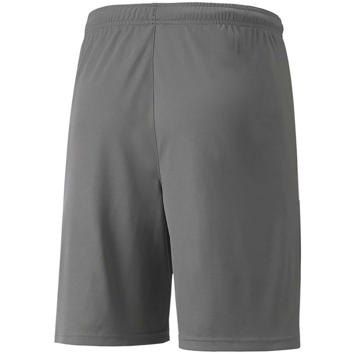 Men's Shorts Puma Gray
