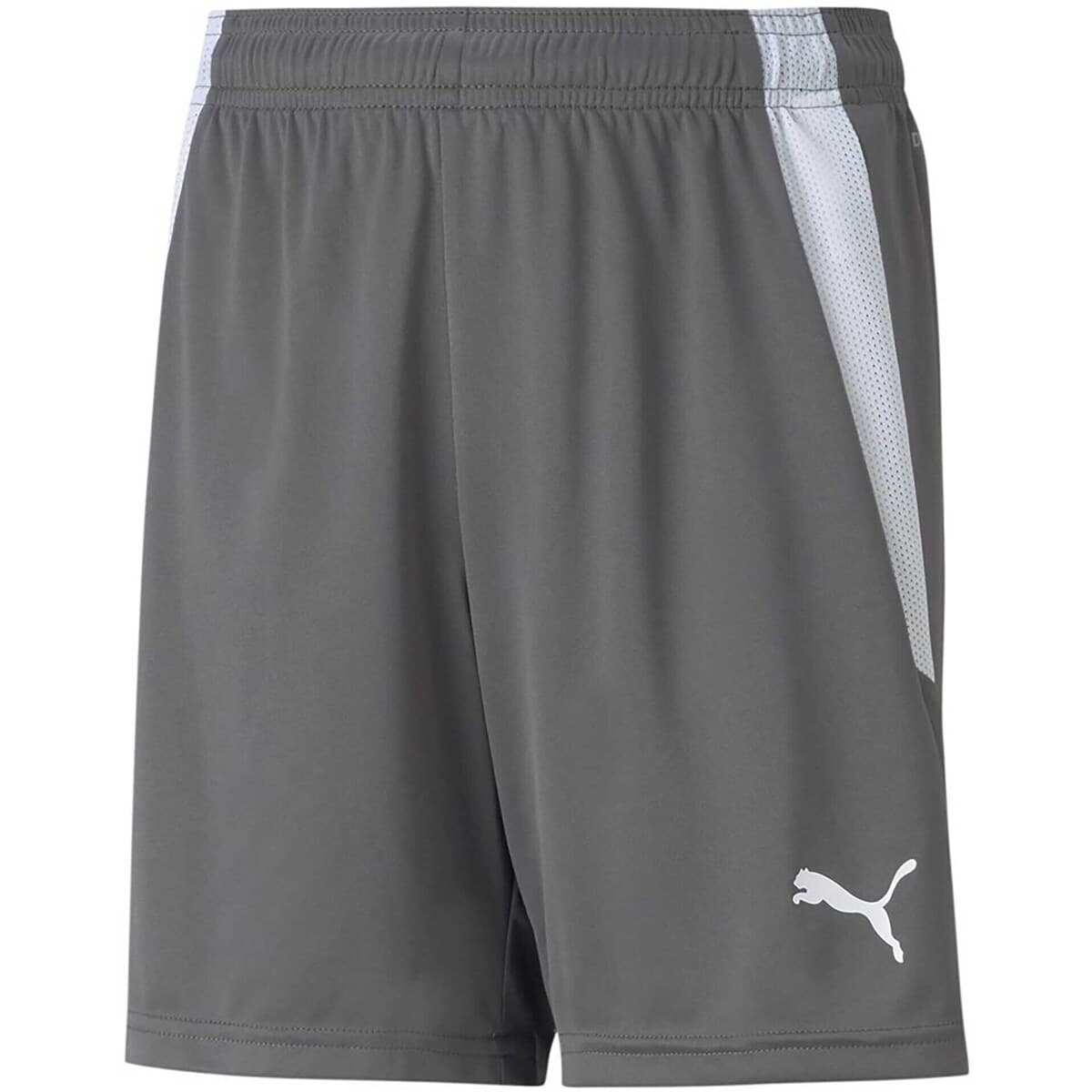 Shorts & Βερμούδες Puma Teamliga Jr
