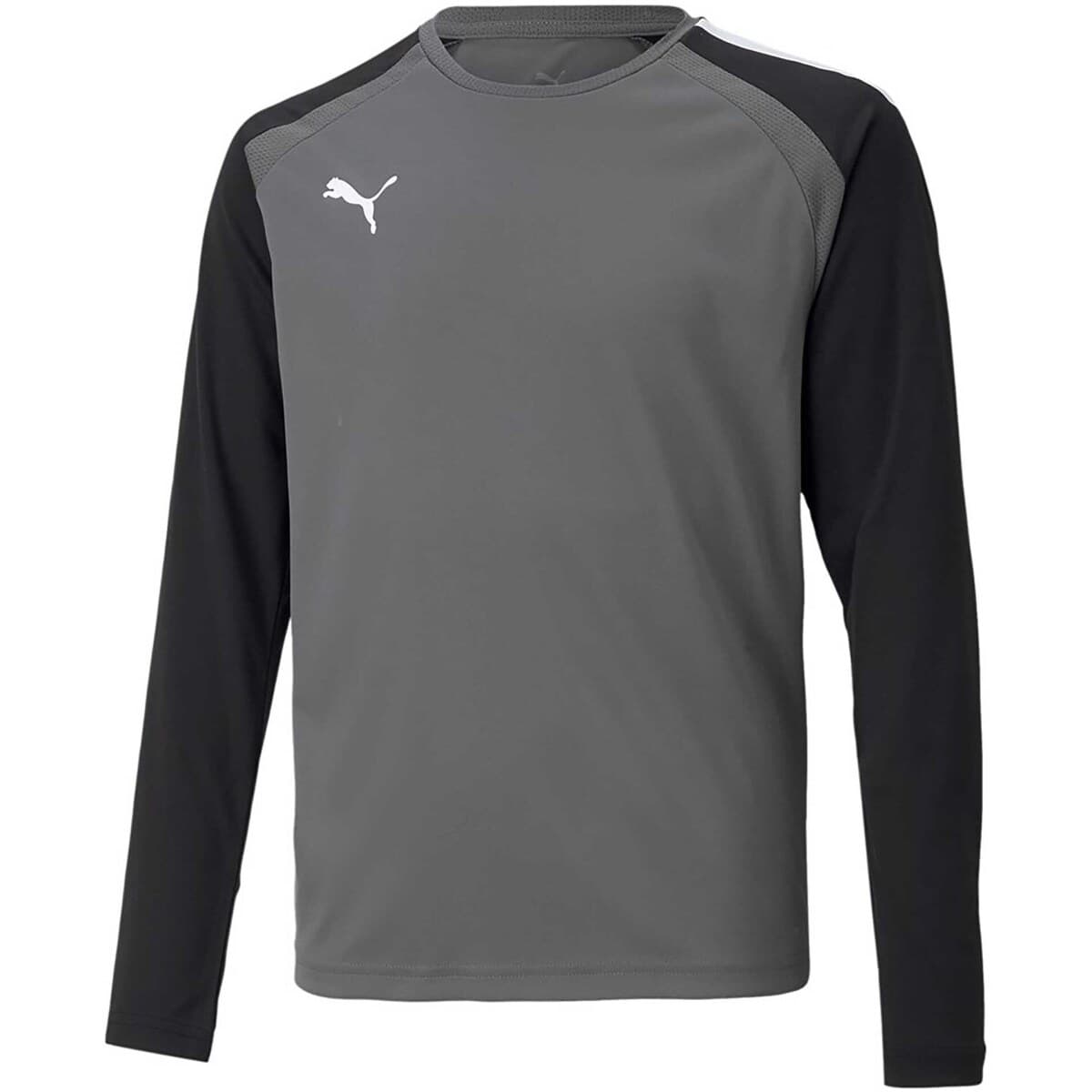 T-shirts & Polos Puma Teampacer Gk Ls Jersey Jr