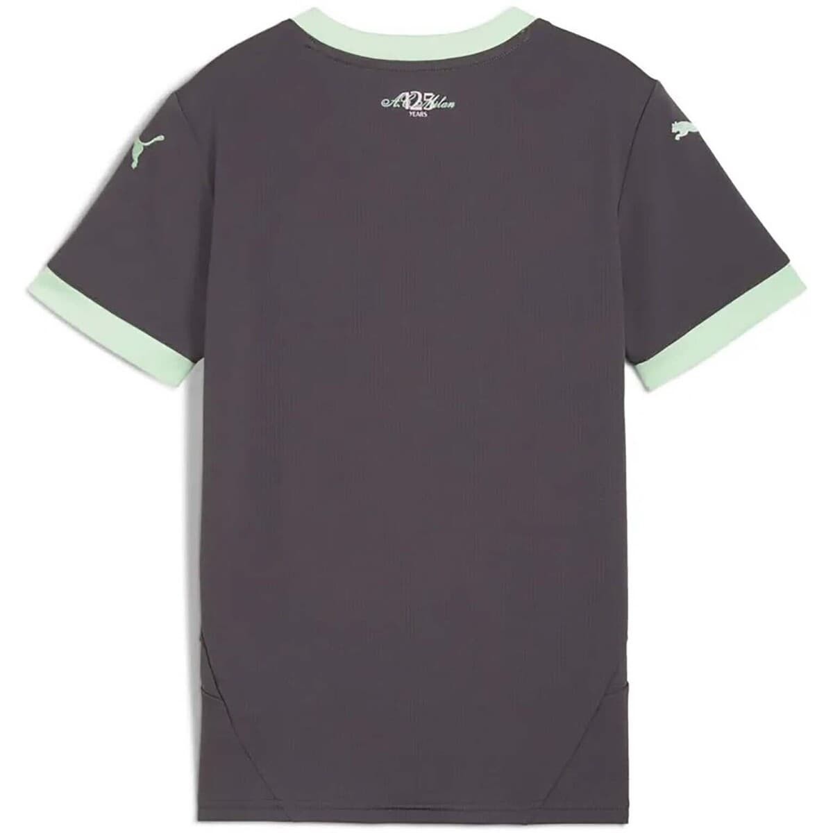 Boys' T-Shirts Puma Gray