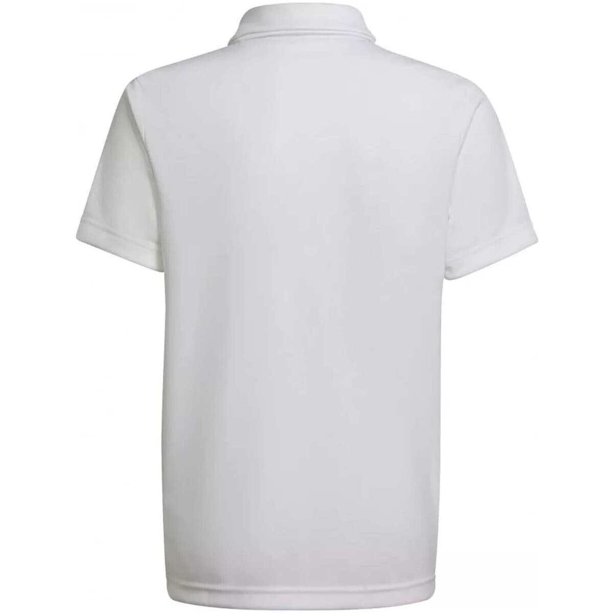 Women's T-Shirts adidas White