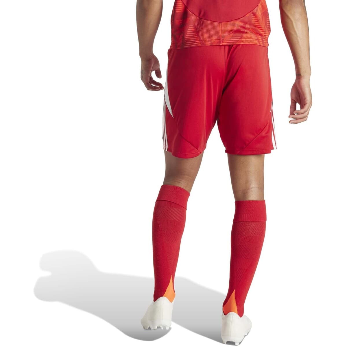 Men's Shorts adidas Red