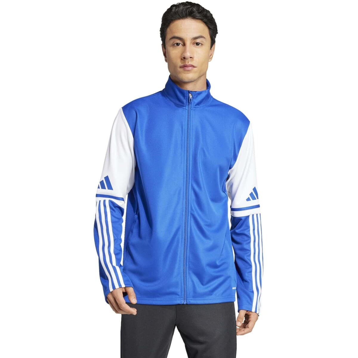 Men's Sweatshirts adidas Blue