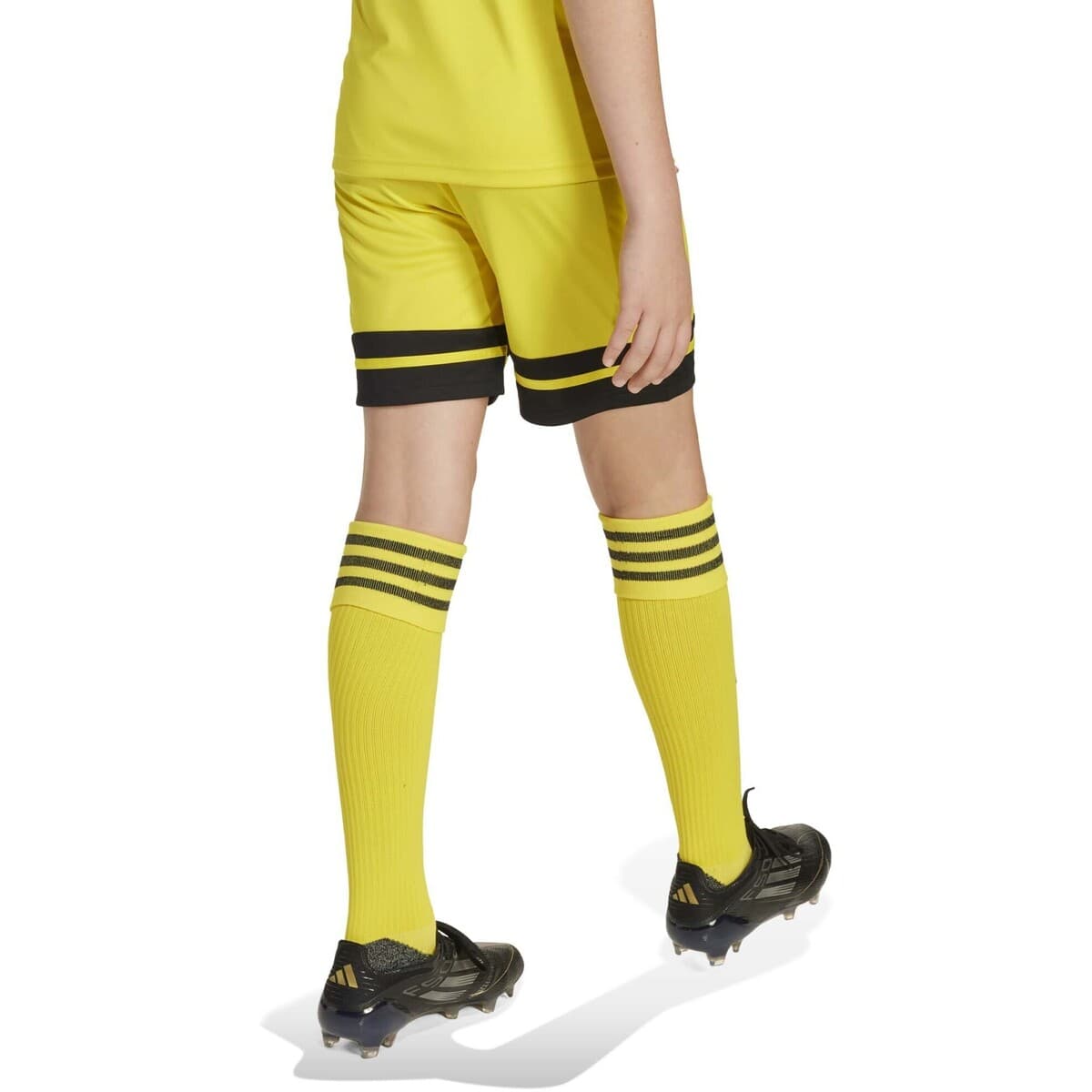 Boys' Shorts adidas Yellow