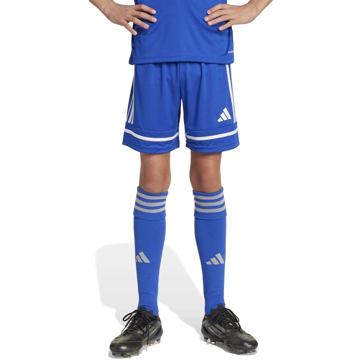 Girls' Shorts adidas Blue