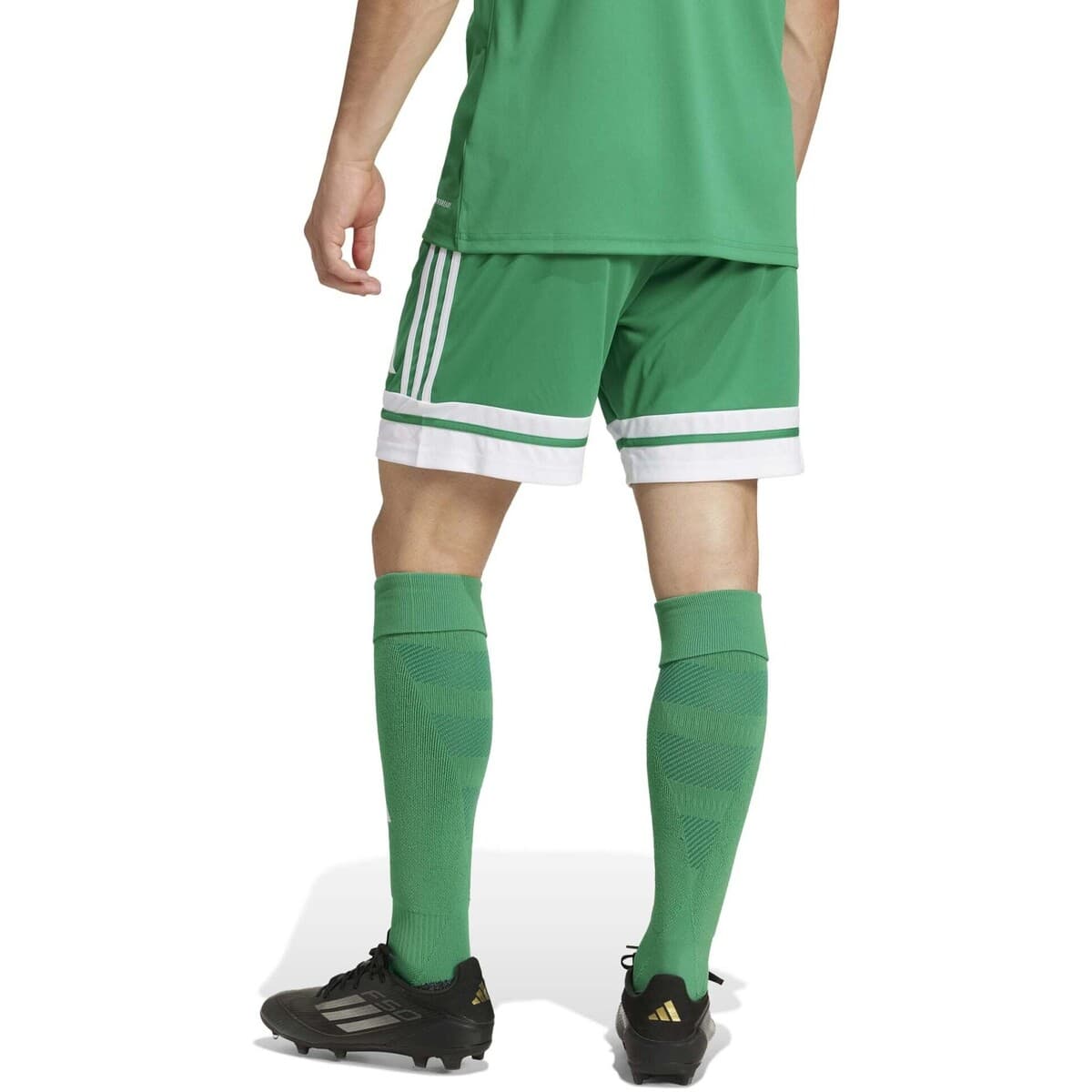 Men's Shorts adidas Green