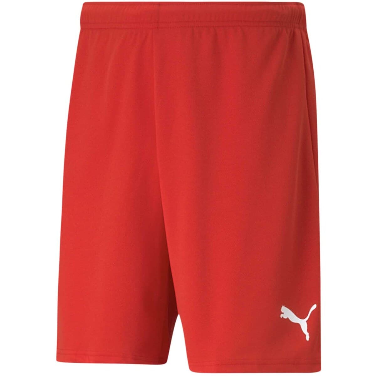 Shorts & Βερμούδες Puma TEAMRISE SHORT