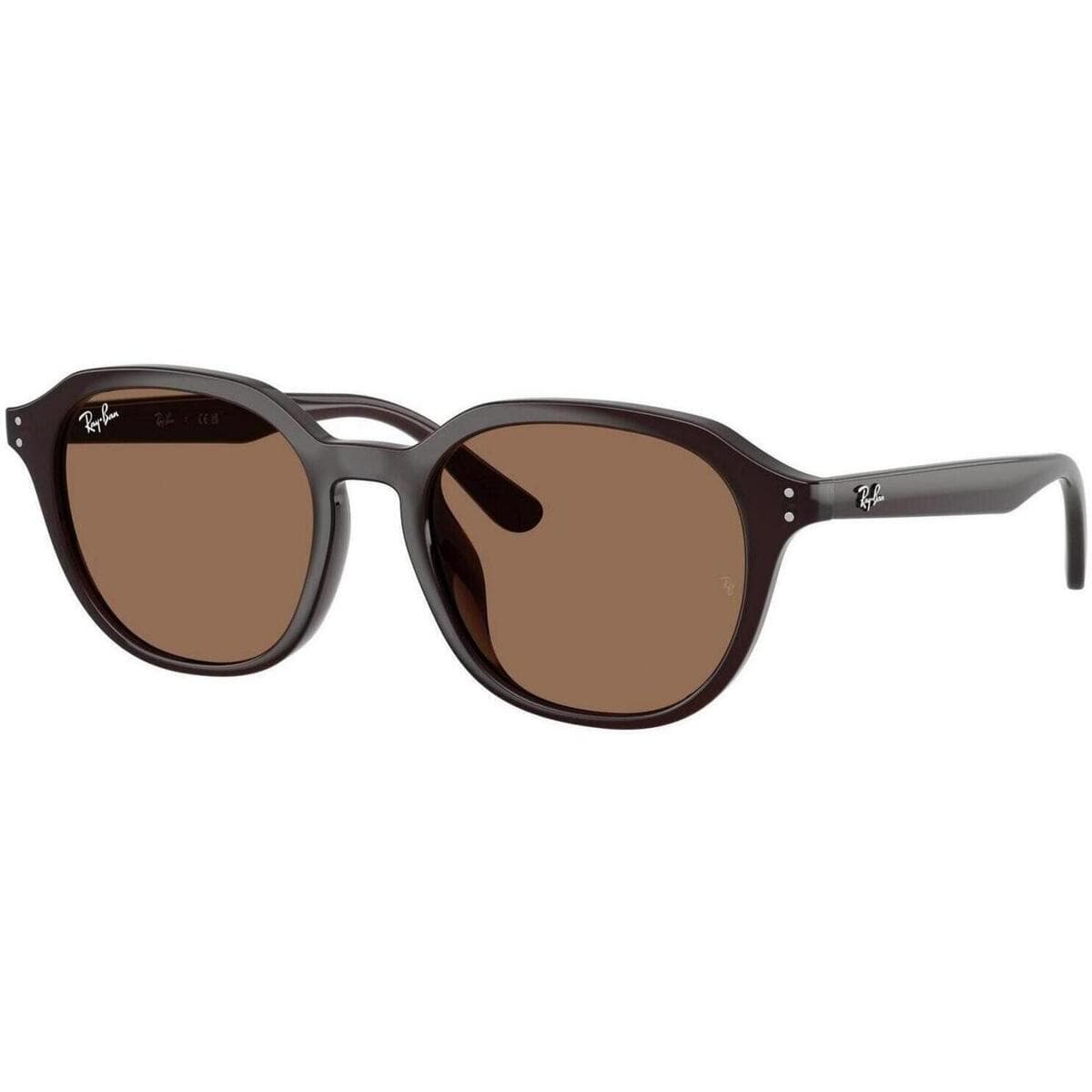 Men's Sunglasses Ray-ban Brown